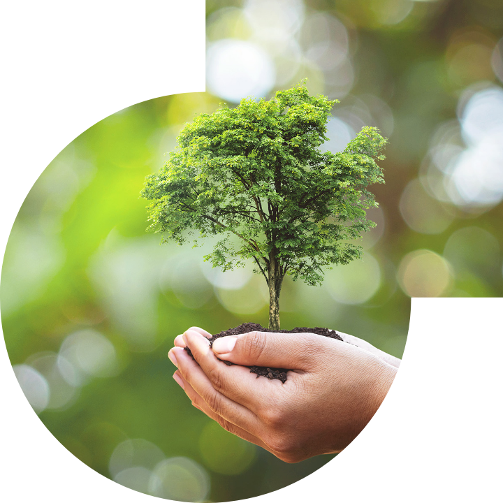 關懷人類、文化、環境與社會